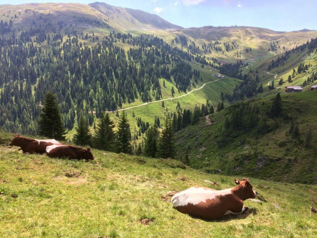 Wagnerhaeusl Leilighet Bramberg am Wildkogel Eksteriør bilde